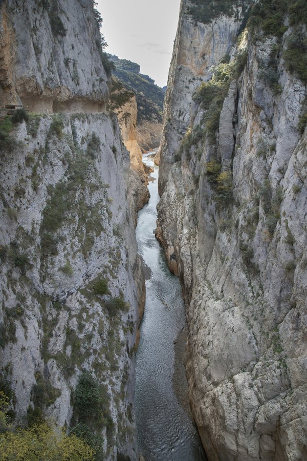 Comment choisir la meilleure période pour une croisière en Arctique ?