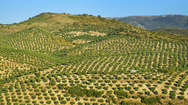 Comment organiser un voyage pour participer à des festivals de gastronomie du monde ?