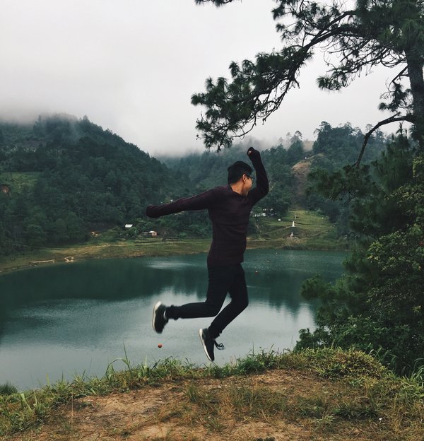 Voyager en Australie : des plages de la Gold Coast au bush australien